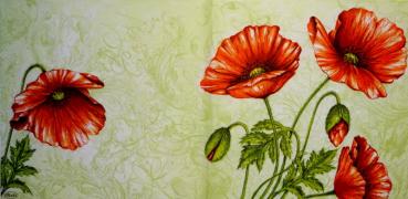121 Anemonen, Mohn - 3-lagig (weiß) - Maki